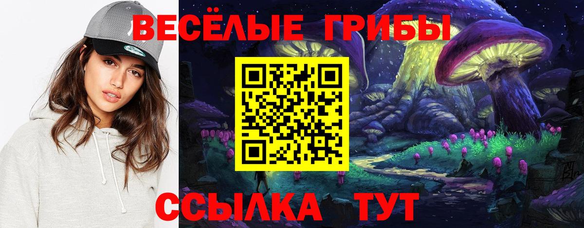 Псилоцибиновые грибы Magic Shrooms  Псилоцибиновые грибы Psilocybine cubensis  Вход с VPN  Дивногорск 